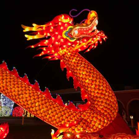Happy Chinese New Year! Let's Celebrate the Year of the Dragon